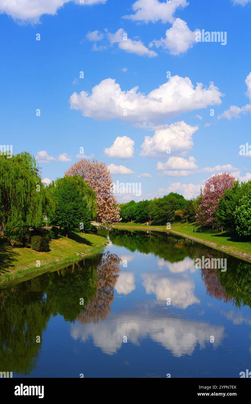 Arbres verts au bord de la rivière, fleurs fleurissant sur les arbres, nuages sur un ciel bleu et reflets sur l'eau dans une journée ensoleillée Banque D'Images