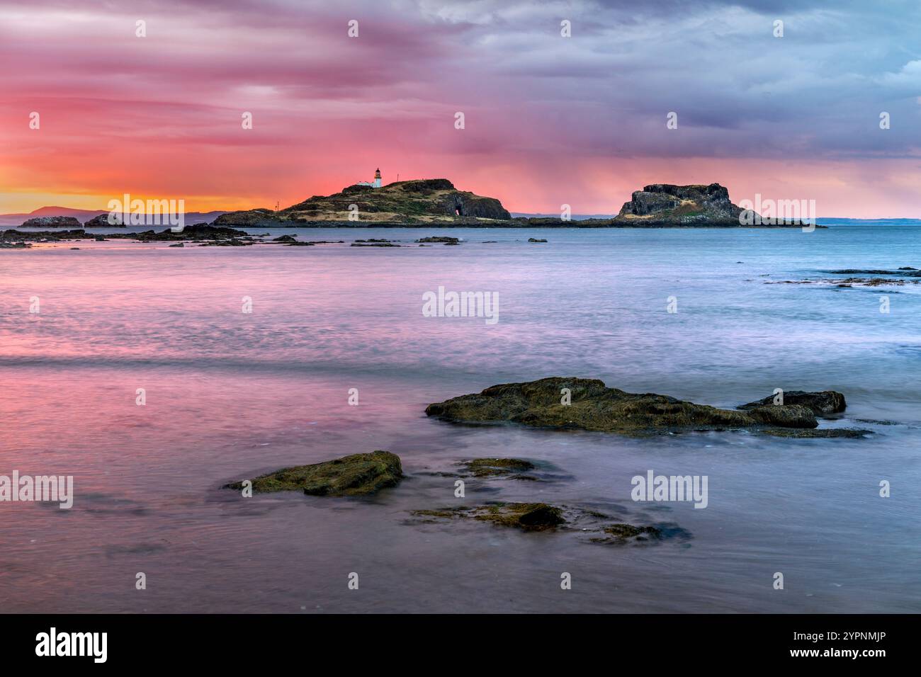 Yellowcraig ; Fidra Island ; East Lothian ; Écosse ; Royaume-Uni Banque D'Images