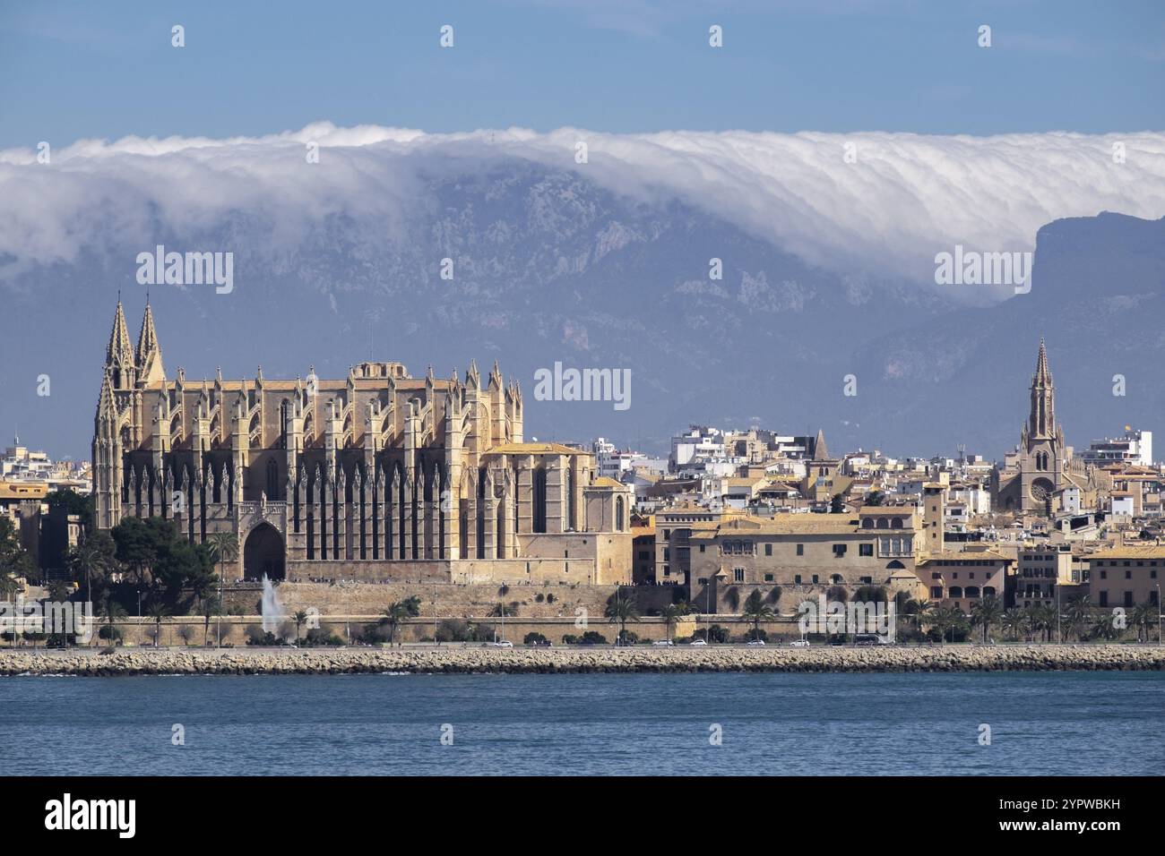 Catedral de Mallorca, siglo XIII, Monumento Historico-artistico, Palma, bahia de Palma, Majorque, îles baléares, Espagne, Europe Banque D'Images