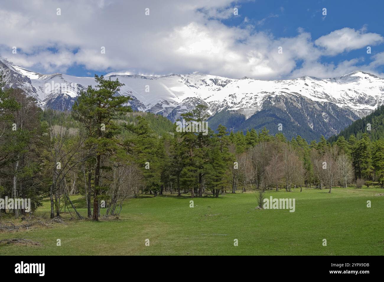 Printemps dans les montagnes caucasiennes. Quartier du village Arkhyz. Karachay-Tcherkessia, Caucase du Nord, Russie. Journée ensoleillée début mai Banque D'Images
