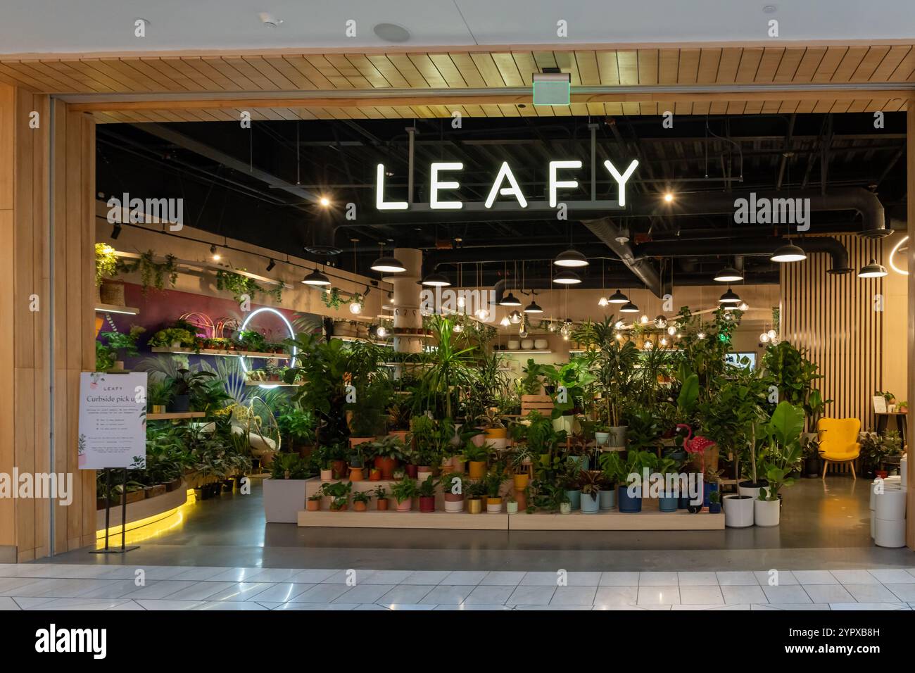 Santa Clara, Californie, États-Unis - 10 juin 2023 : une pépinière de plantes feuillues à Westfield Valley Fair à Santa Clara, Californie. Banque D'Images