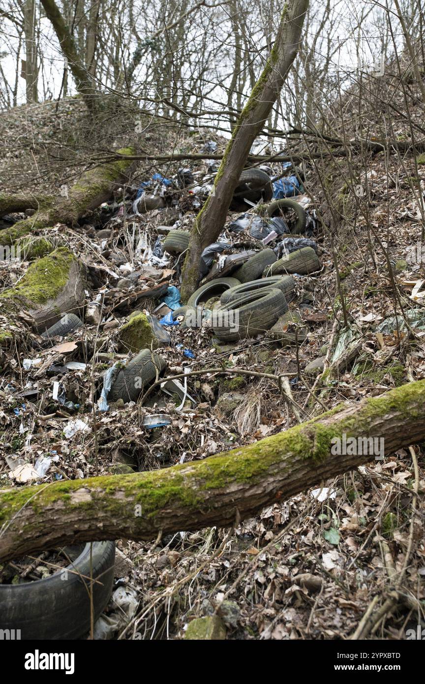Vieux pneus de voiture usagés dans la forêt. Déversement illégal de pneus dans la nature. Pollution de l'environnement Banque D'Images