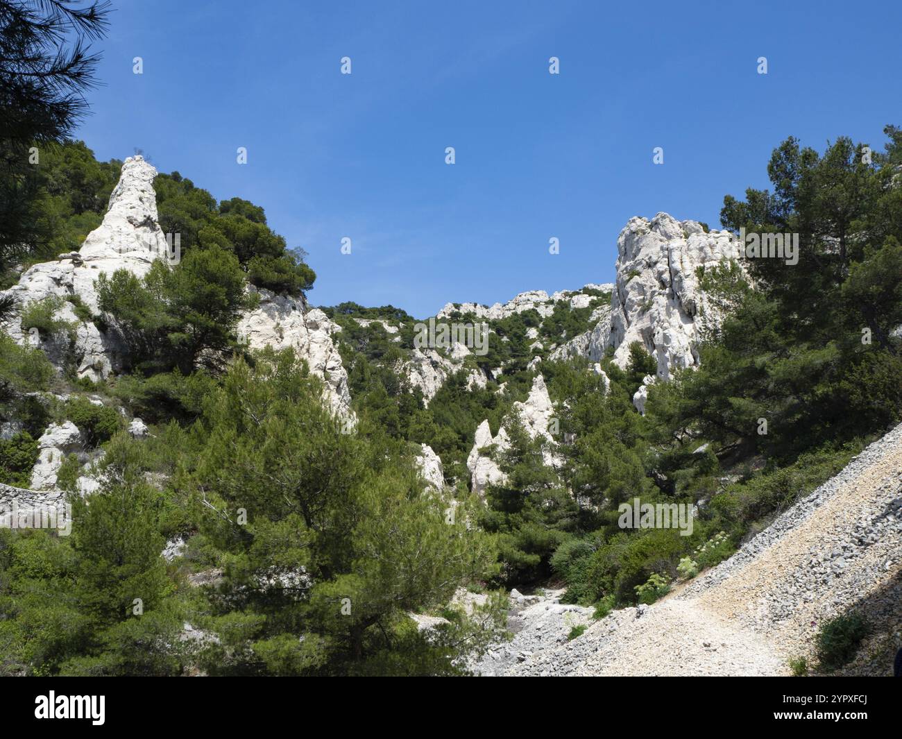 Le parc national des Calanques offre de magnifiques sentiers de randonnée le long de falaises surplombant la mer Méditerranée Banque D'Images