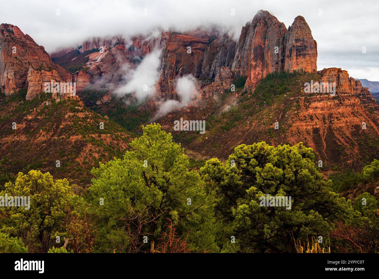 Les magnifiques falaises de roche rouge de Kolob Canyon (partie du parc national de Zions), également les monolithes du parc d'État de Snow Canyon, à Ivins, UT. ÉTATS-UNIS Banque D'Images