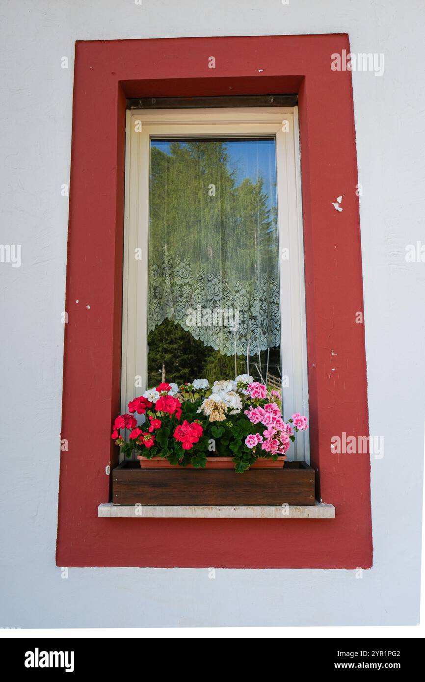 Une boîte à fleurs remplie de fleurs rouges, blanches et roses avec un lac Banque D'Images