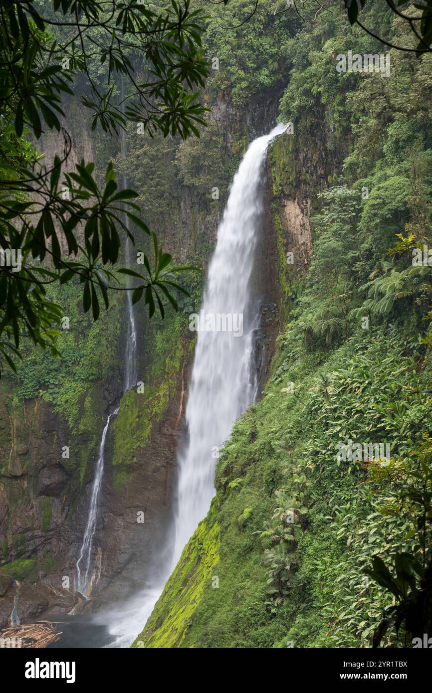 Cascade de Toro, Catarata Del Toro, province d'Alajuela, Bajos Del Toro, Costa Rica Banque D'Images