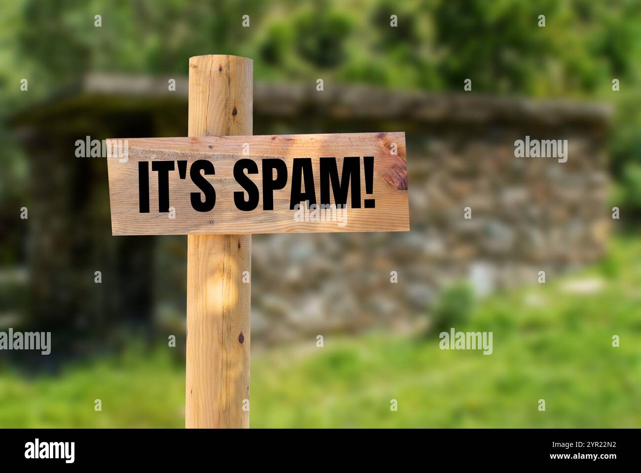 C'est un message de spam écrit sur un panneau en bois avec un fond de nature floue. Conceptuel, c'est le symbole spam. Copier l'espace. Banque D'Images