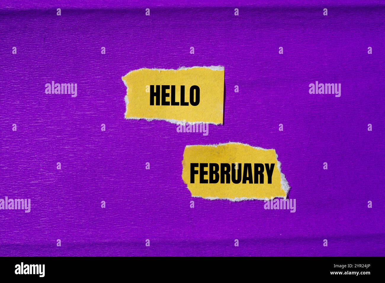 Bonjour février message écrit sur des morceaux de papier jaune déchiré déchiré avec fond violet. Symbole conceptuel bonjour février. Copier l'espace. Banque D'Images