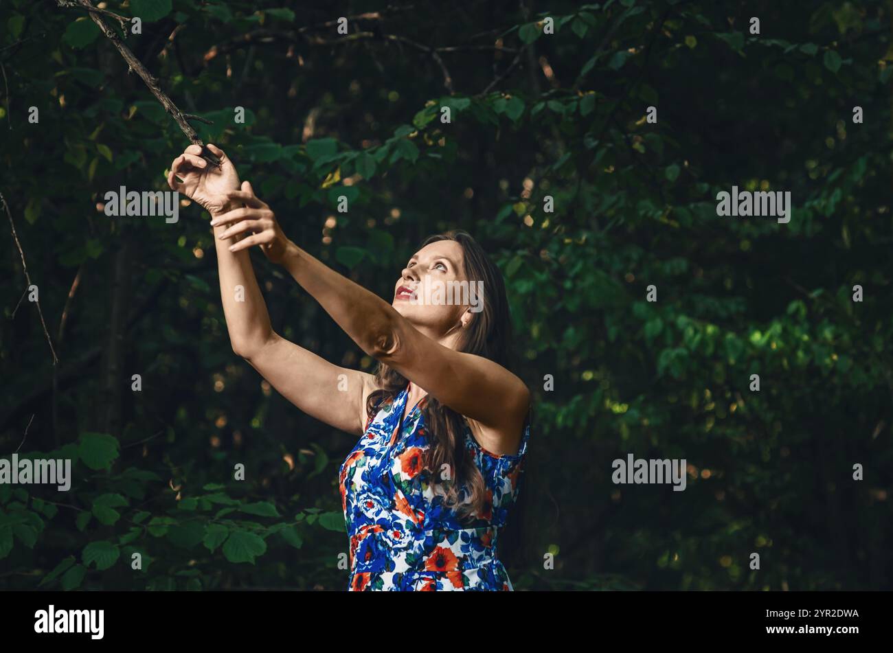 Femme en robe colorée atteint pour la branche sèche parmi les feuilles vertes. Vue latérale. Jour d'été. Ambiance forêt Banque D'Images