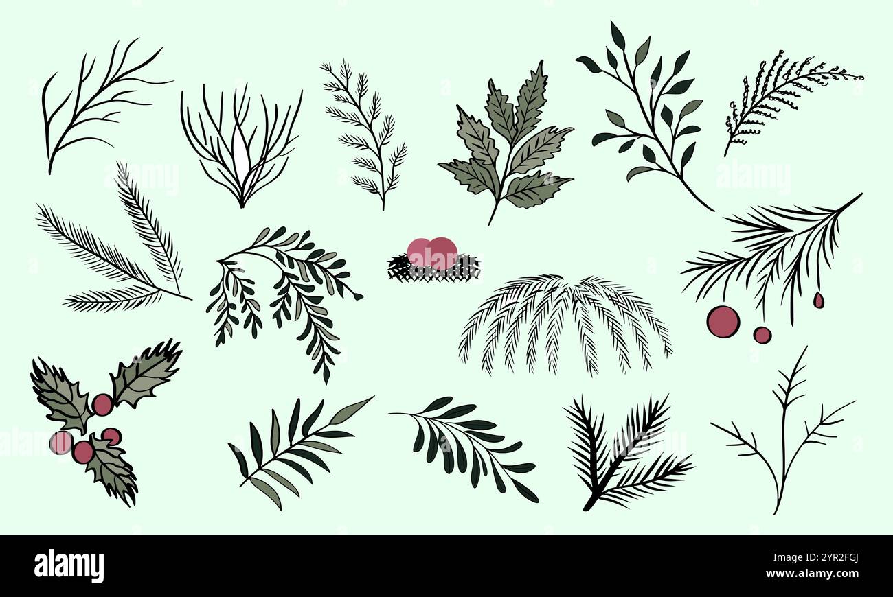 Une collection d'icônes vectorielles colorées pour cartes postales représentant différentes plantes et herbes. Illustration vectorielle Illustration de Vecteur