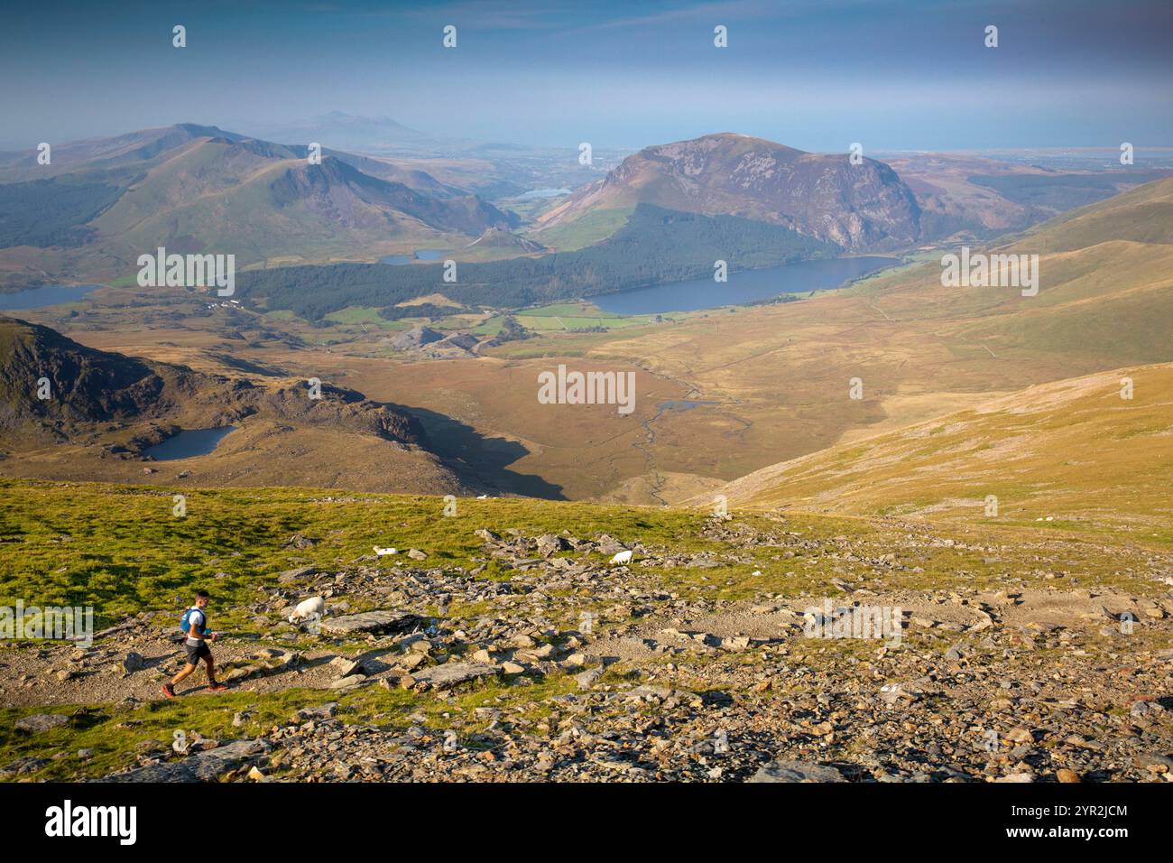 Royaume-Uni, pays de Galles, Gwynedd, Snowdonia, Llanberis, Snowdon Mountain Railway, voyage, coureur tombé sur Ranger Path à Llyn Cwellyn Banque D'Images