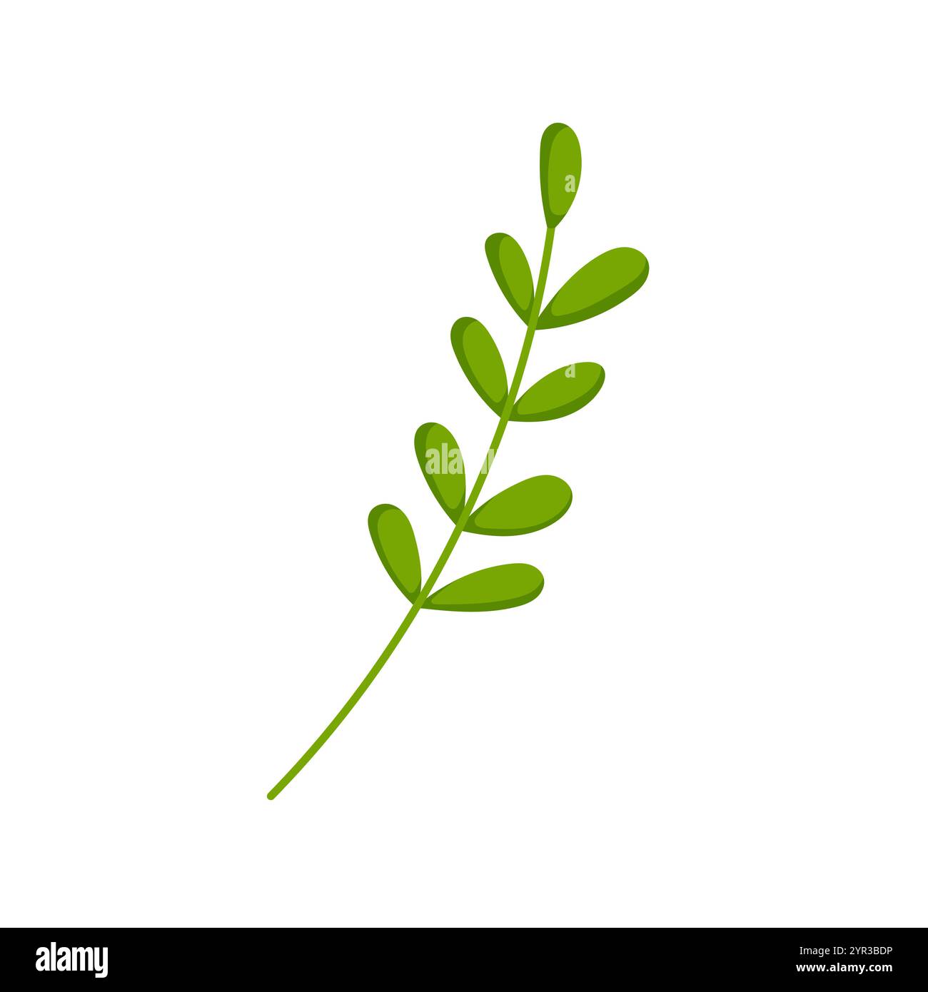 Branche verte avec des feuilles arrondies dans le style de bande dessinée. Design botanique simple parfait pour le projet sur le thème de la nature, design respectueux de l'environnement et décoratif Illustration de Vecteur