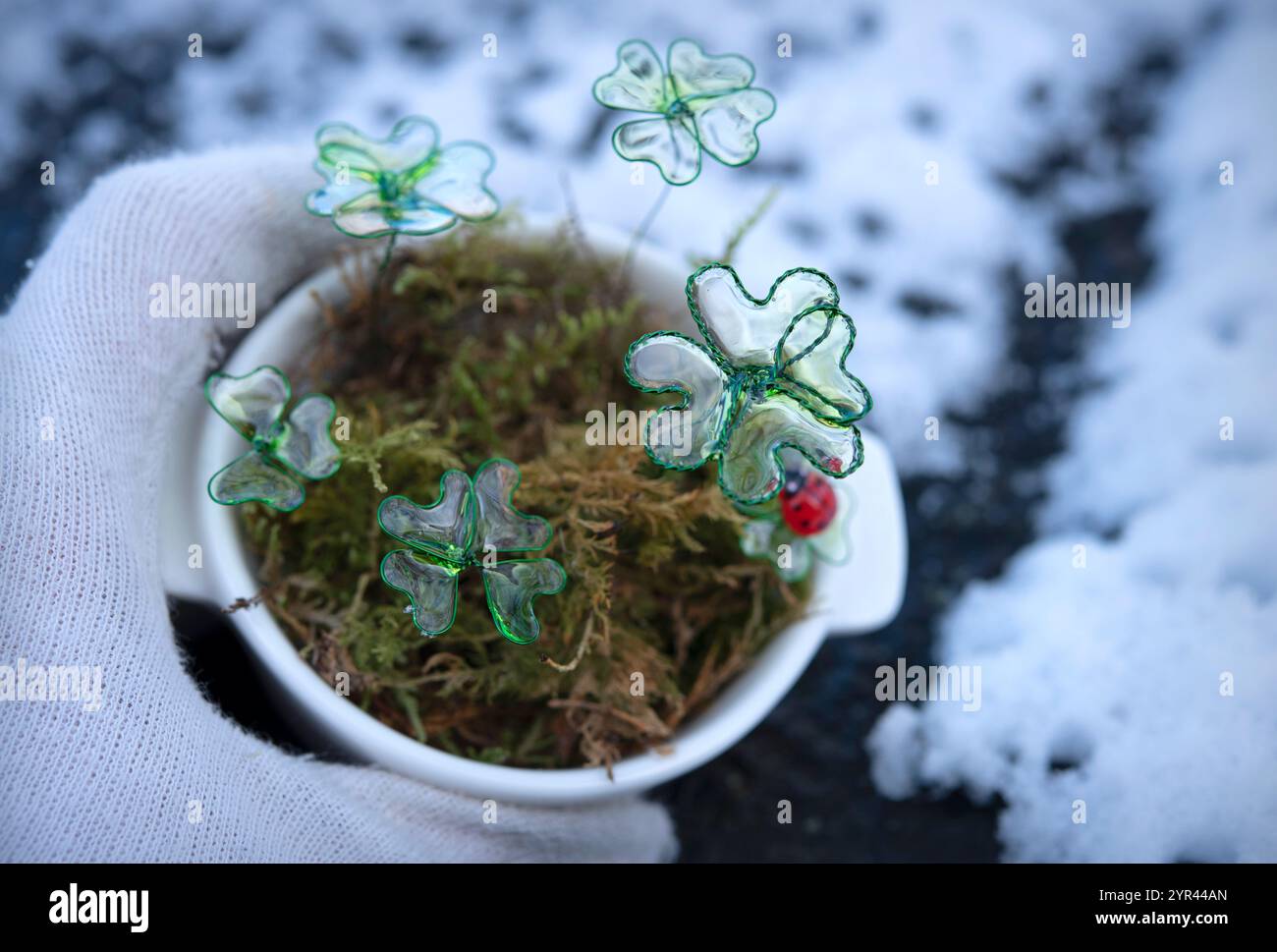 Main tenant pot blanc avec trèfles à quatre feuilles et coccinelle - décoration faite à la main. Symbole de bonne chance pour le nouvel an. Banque D'Images