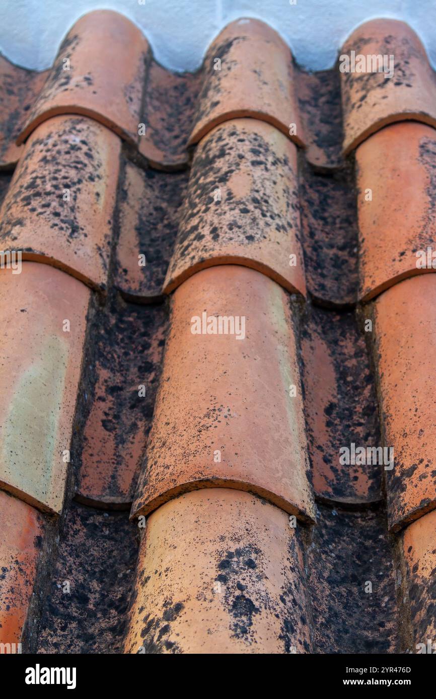 Une vue détaillée d'un toit de tuiles de céramique mettant en valeur son motif traditionnel de verrouillage. Les carreaux de terre cuite courbes forment une texture uniforme mais rustique, Banque D'Images