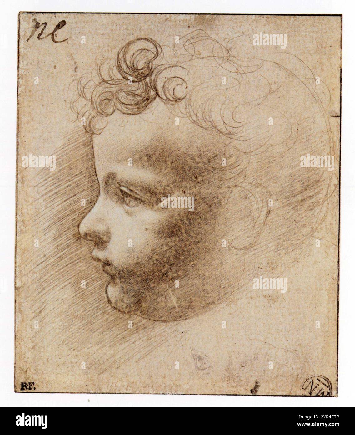 GIOVANNI ANTONIO BOTLRAFFIO.RESPONSABLE D'UN ENFANT EN PROFIL Banque D'Images