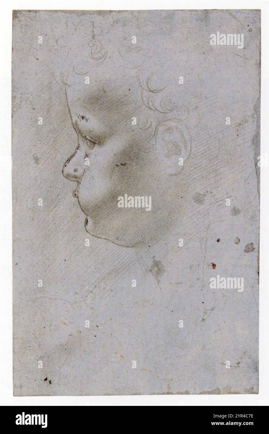 GIOVANNI ANTONIO BOTLRAFFIO.PROFIL D'UN ENFANT FACE À LA GAUCHE. Banque D'Images
