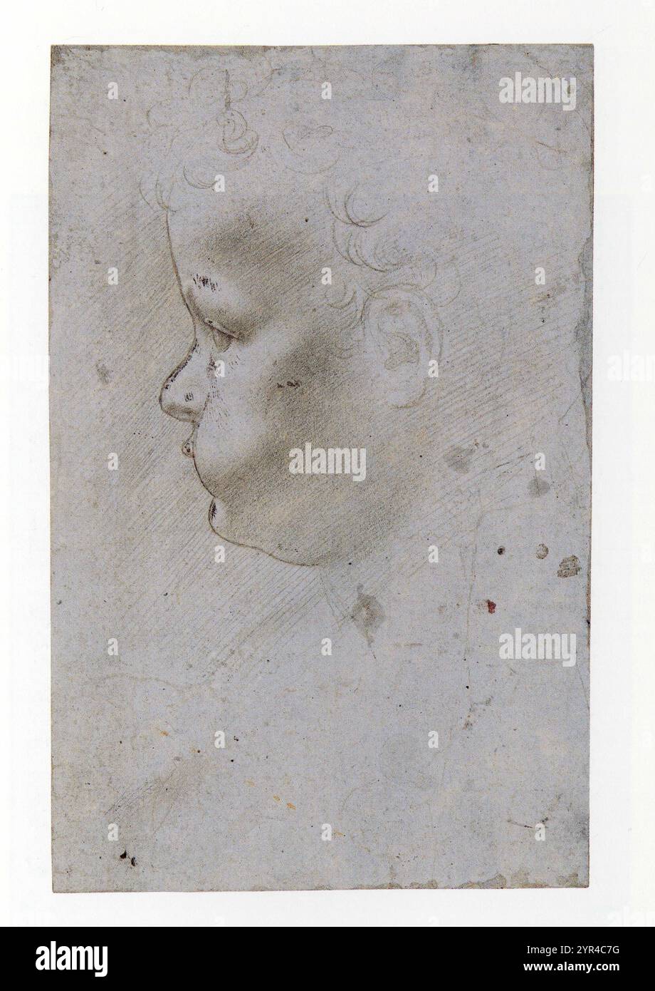 GIOVANNI ANTONIO BOTLRAFFIO.PROFIL D'UN ENFANT FACE À LA GAUCHE. Banque D'Images