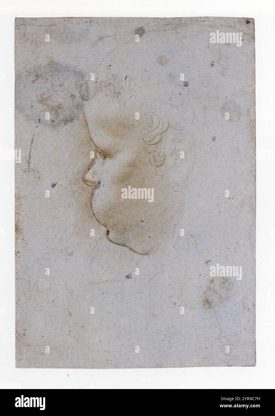 GIOVANNI ANTONIO BOTLRAFFIO.PROFIL D'UN ENFANT FACE À LA GAUCHE. Banque D'Images