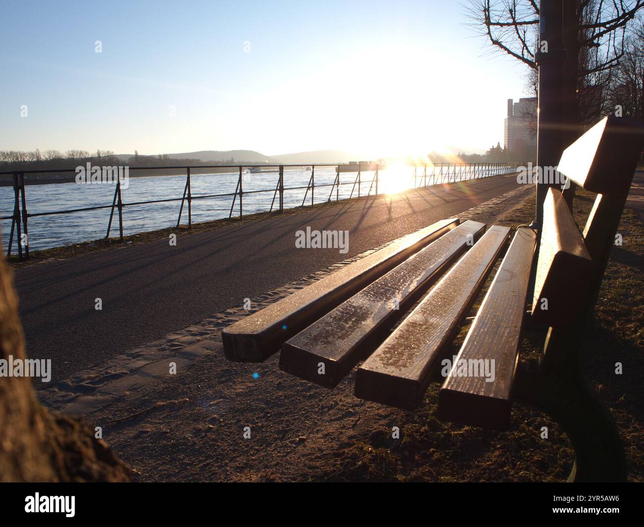 Un banc de parc pendant le lever du soleil à Bonn, Allemagne par un froid matin d'hiver. Concept : relaxation, ralentissement, pause, repos, promenade matinale Banque D'Images