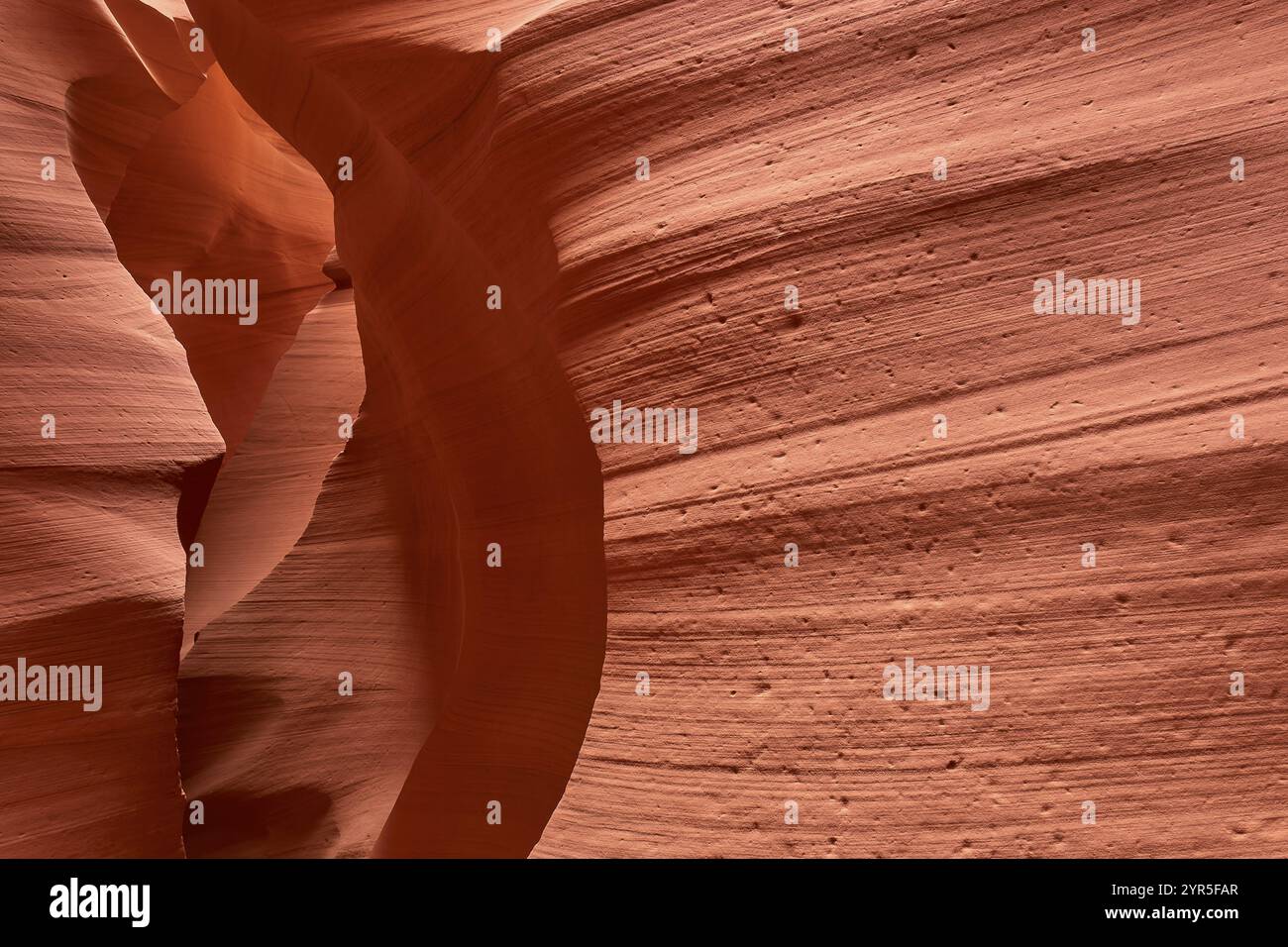 Fascinantes formations de grès dans Antelpoe Canyon, montrant des structures douces et ondulées, Antelope Canyon, Arizona, États-Unis, Amérique du Nord Banque D'Images