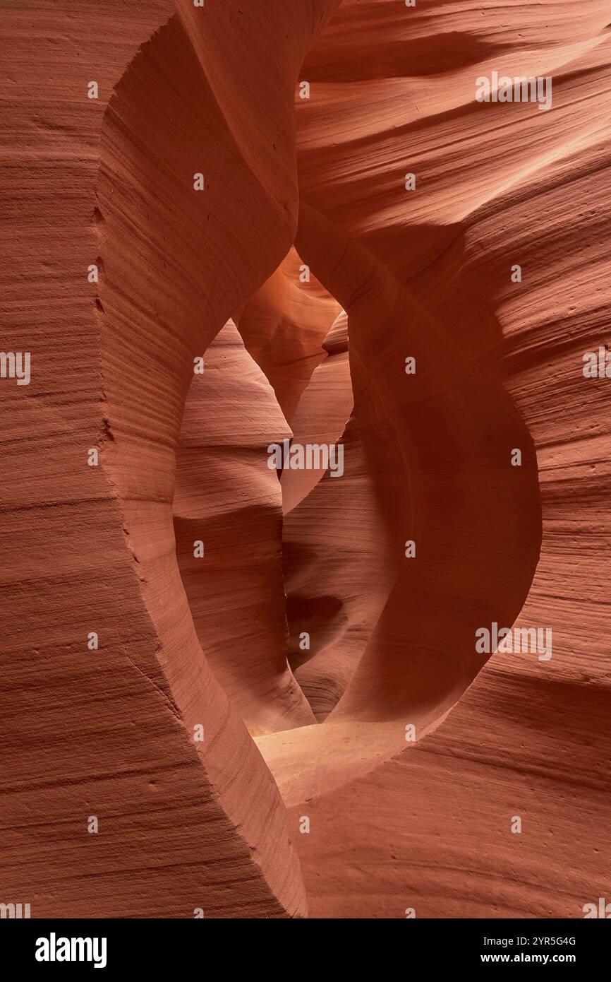 Fascinantes formations de grès dans Antelpoe Canyon, montrant des structures douces et ondulées, Antelope Canyon, Arizona, États-Unis, Amérique du Nord Banque D'Images