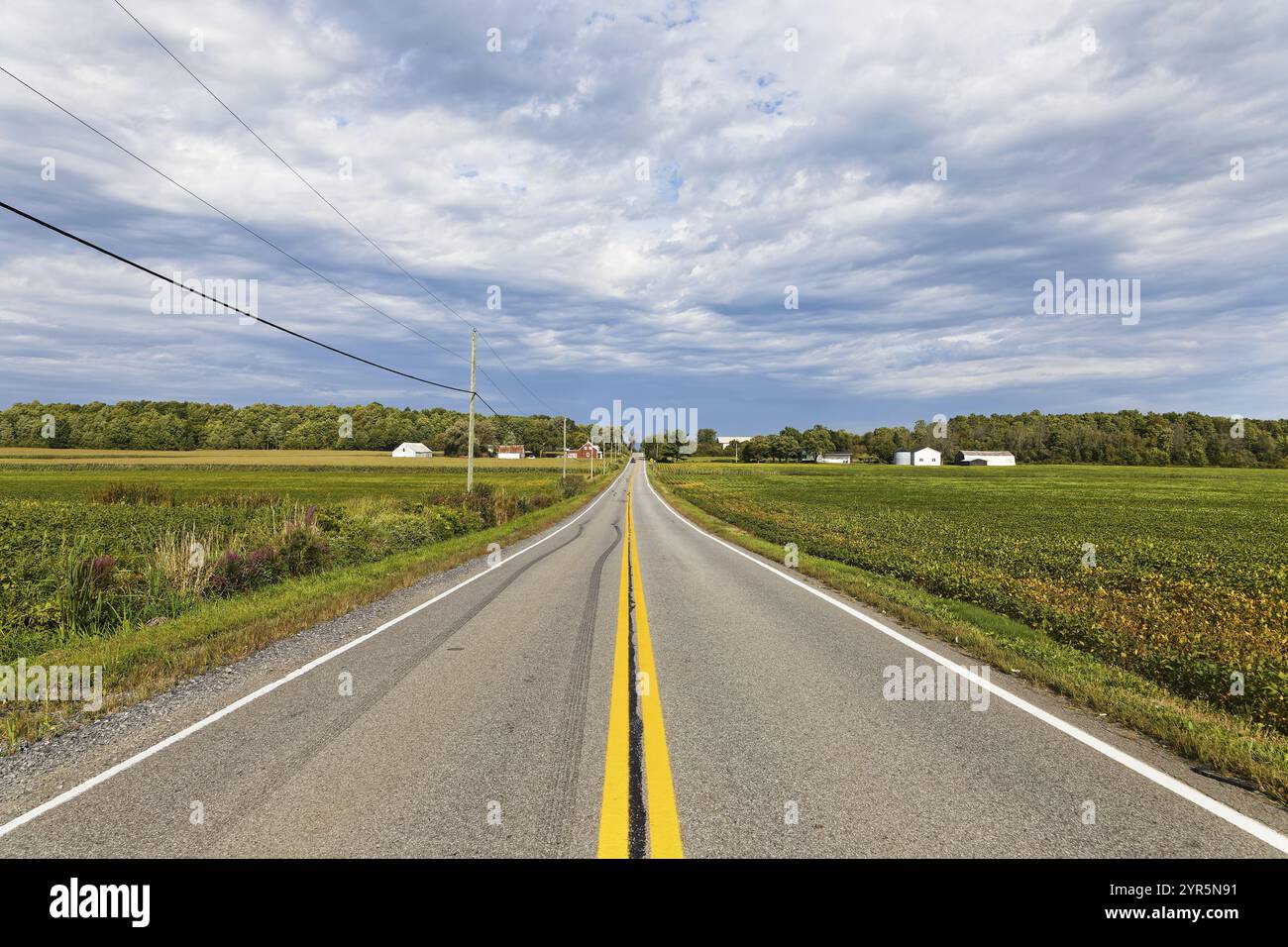 Agriculture, route de campagne à travers des terres agricoles, Province de Québec, Canada, Amérique du Nord Banque D'Images