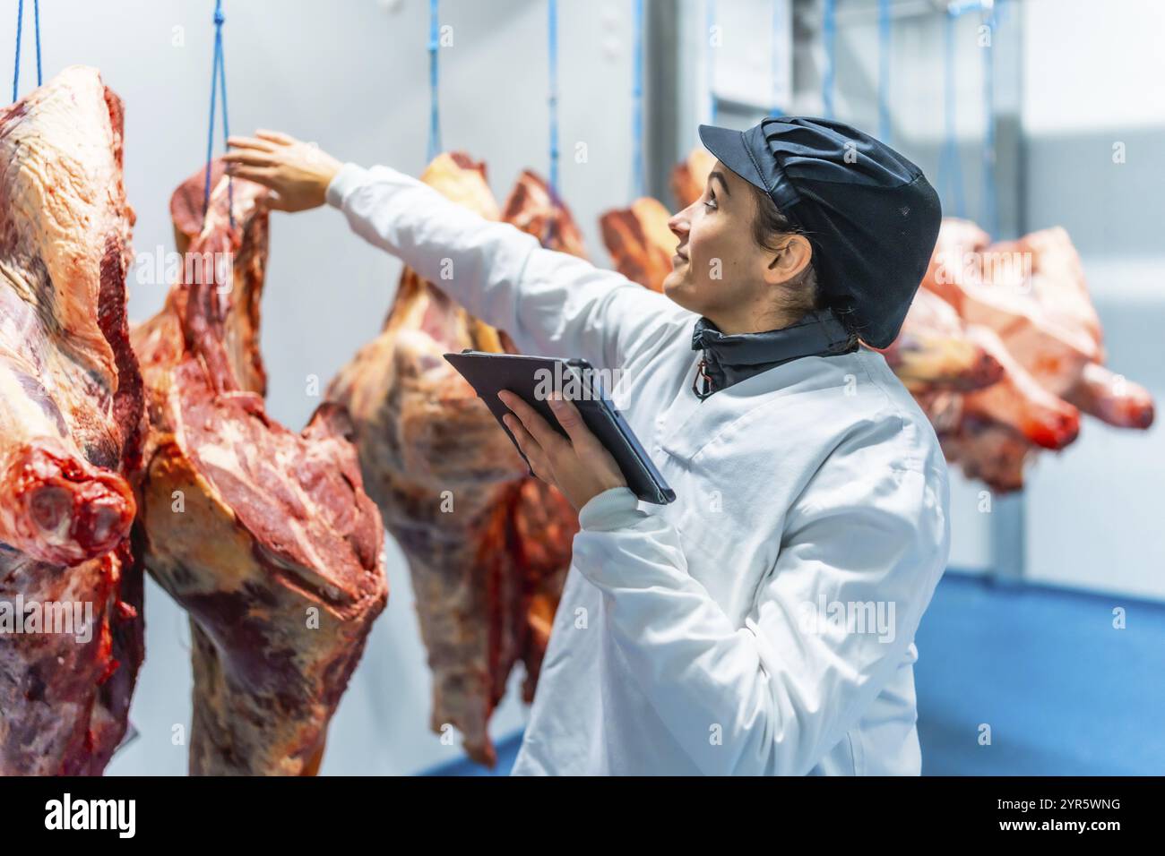 Travailleuse dans une usine de viande utilisant une tablette wifi pour vérifier et enregistrer la qualité des produits Banque D'Images