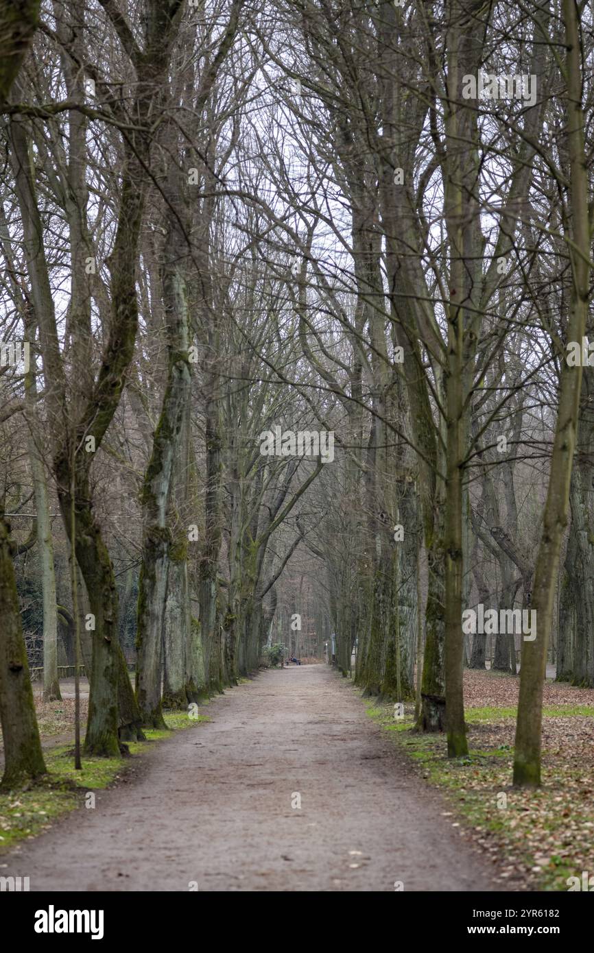 Magnifique chemin dans le beau paysage Banque D'Images