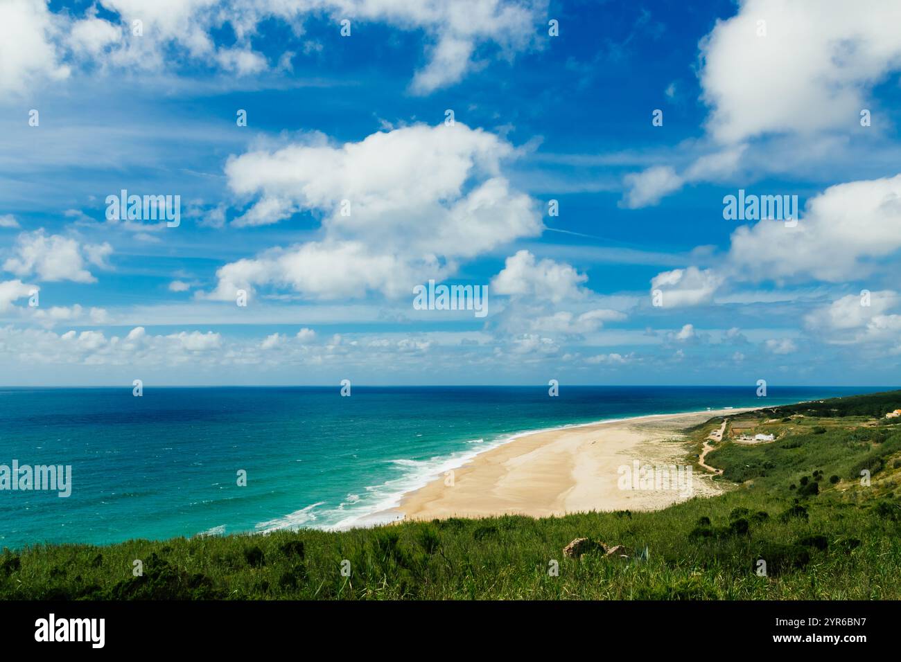 Nuages blancs décorant le ciel bleu sur la plage de Praia do Norte à Nazare, Portugal, avec une végétation verte au premier plan et une eau turquoise Banque D'Images