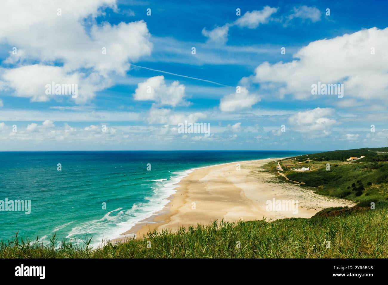 Vue imprenable sur la plage de Praia do Norte avec des vagues turquoises qui s'écrasent sur le rivage, une végétation verte et un ciel bleu à Nazare, portugal Banque D'Images