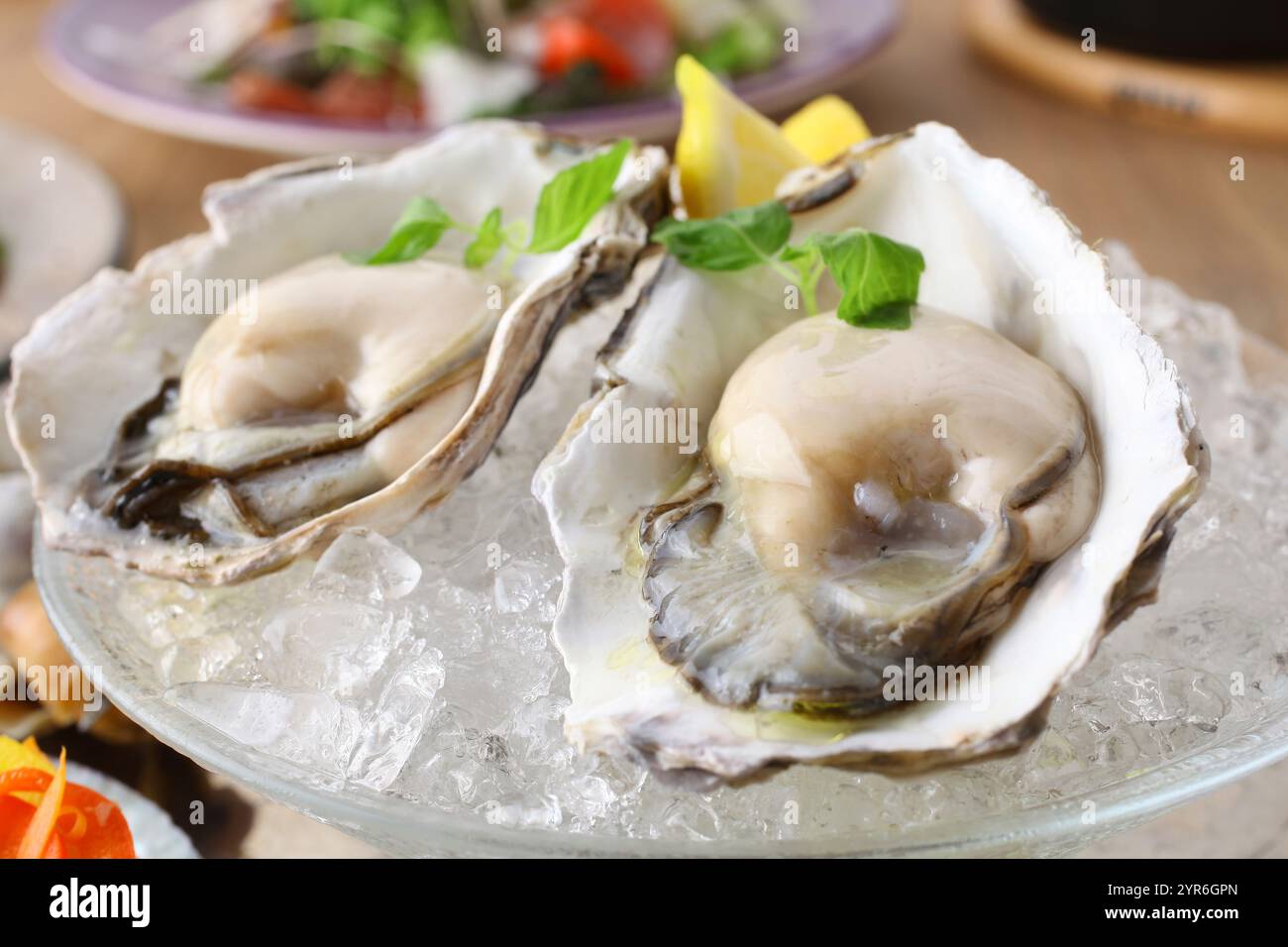 Huîtres Banque D'Images