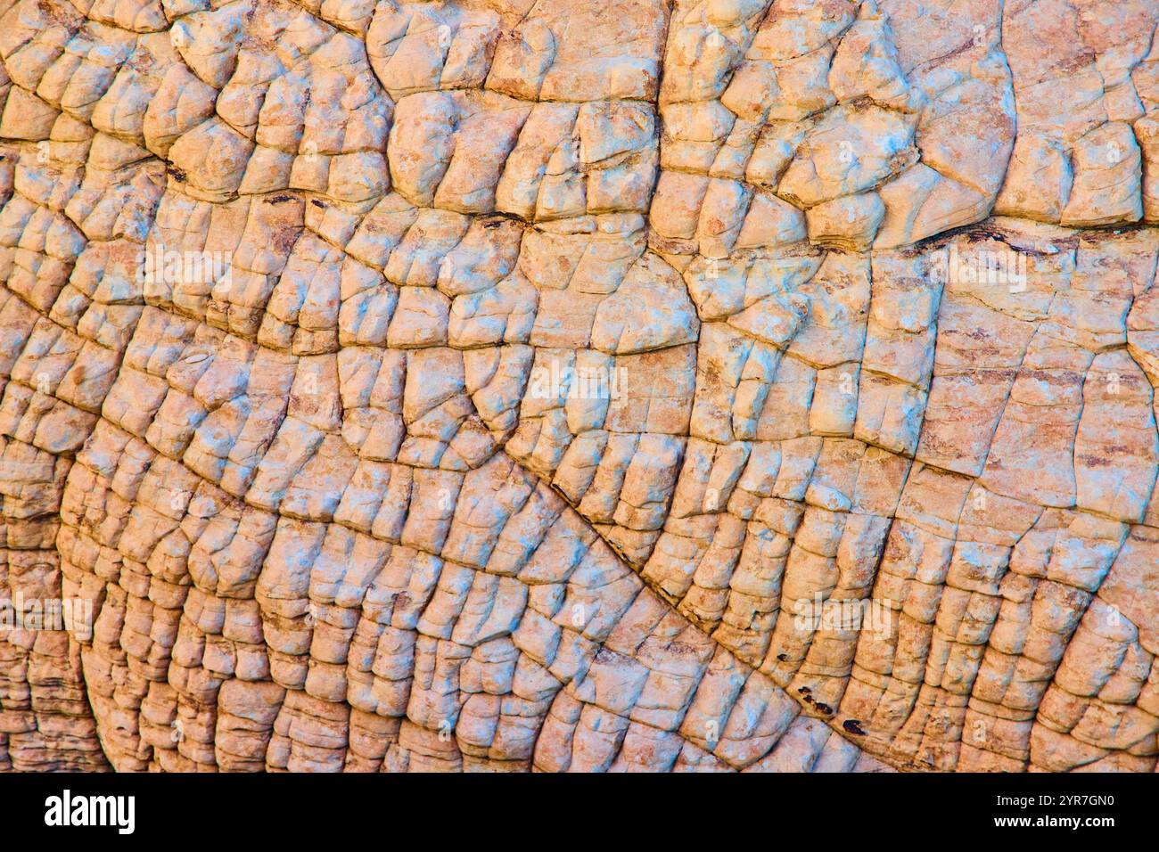 Motifs Rock texturés en perspective rapprochée de Red Rock Canyon Banque D'Images