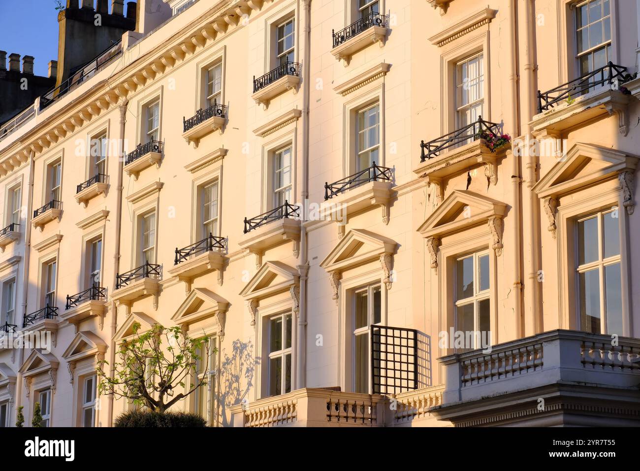 Rangée de maisons de terrasse en stuc géorgiennes brillant d'or peu après le lever du soleil à South Eaton place, Belgravia, Londres, Angleterre, Royaume-Uni Banque D'Images