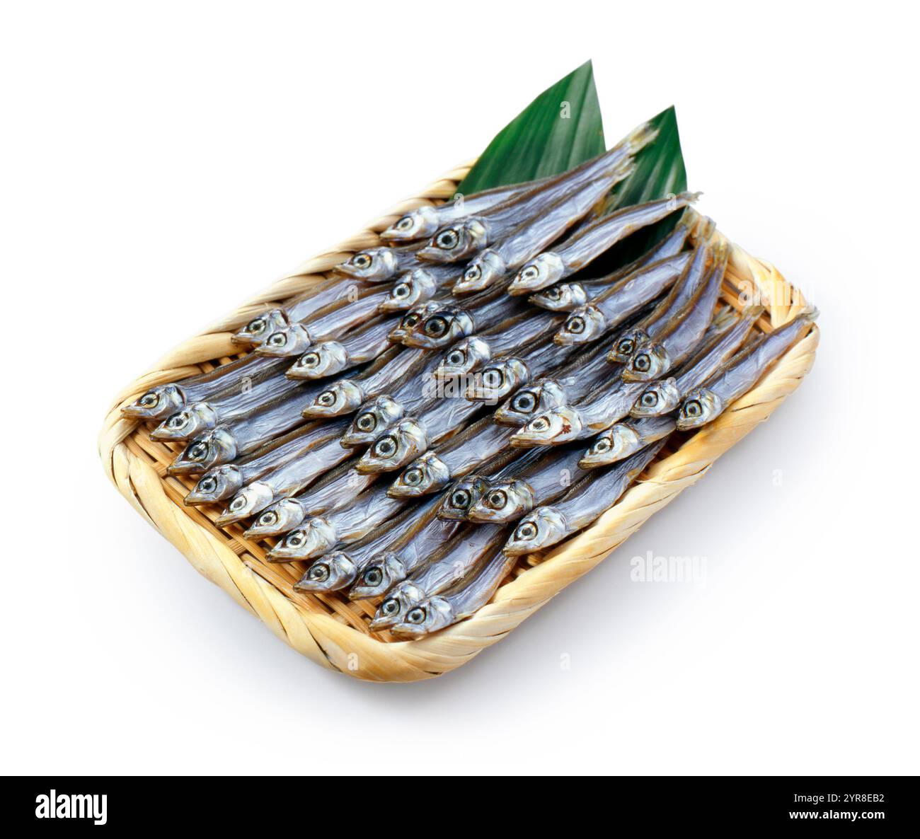 Urume Iwashi (sardine japonaise) Banque D'Images