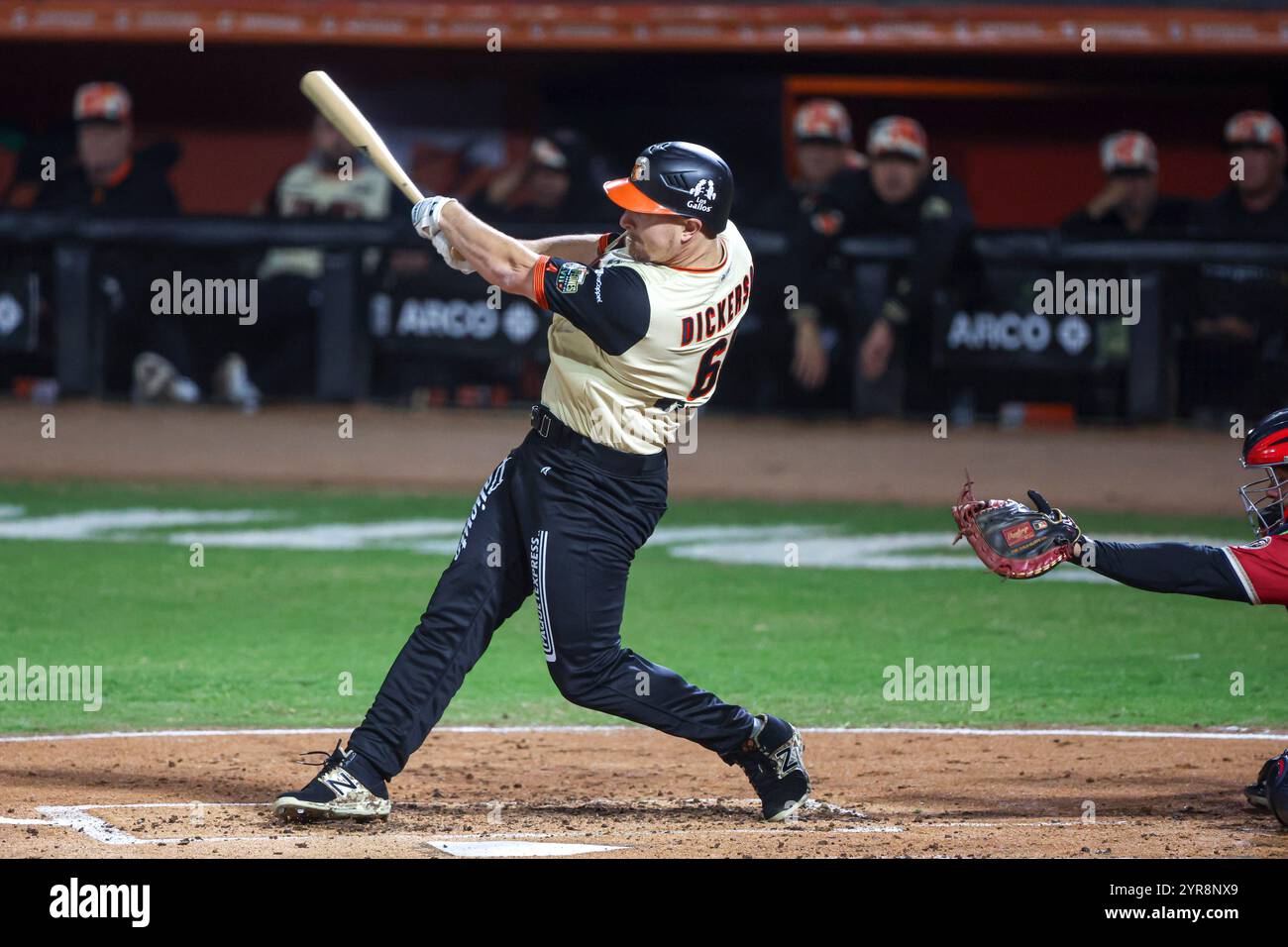 HERMOSILLO, MEXIQUE - NOVEMBRE 29 : Alexander Ross Dickerson de Los Naranjeros de Hermosillo à la batte en première manche, lors d'un match Liga Arco Mexicana del Pacifico entre Aguilas et Naranjeros à l'estadio Fernando Valenzuela le 29 novembre 2024 à Hermosillo, Mexique. (Photo de Luis Gutierrez/Norte photo) Banque D'Images