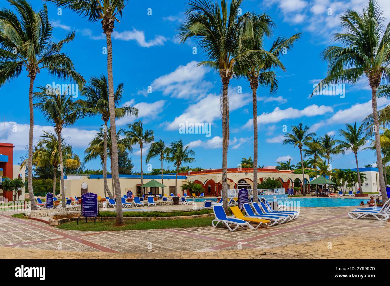 Une station balnéaire avec des palmiers et une piscine. La piscine est entourée de chaises longues et de parasols Banque D'Images