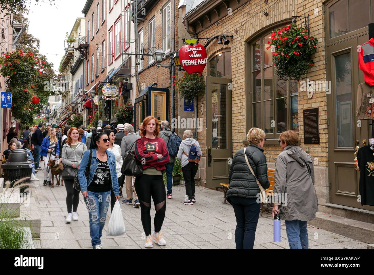 Canada, Québec : Boulevard Champlain : ambiance de rue dans le Boulevard Champlain, dans le quartier du petit Champlain, une petite zone commerciale au Québec CIT Banque D'Images