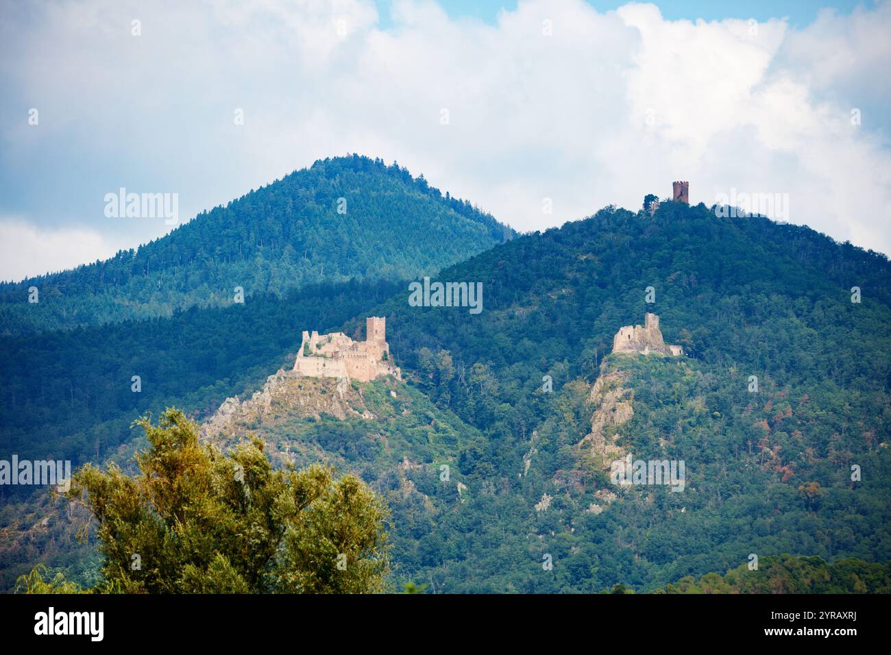 Vue panoramique sur un château perché Château du Haut-Ribeaupierre Banque D'Images