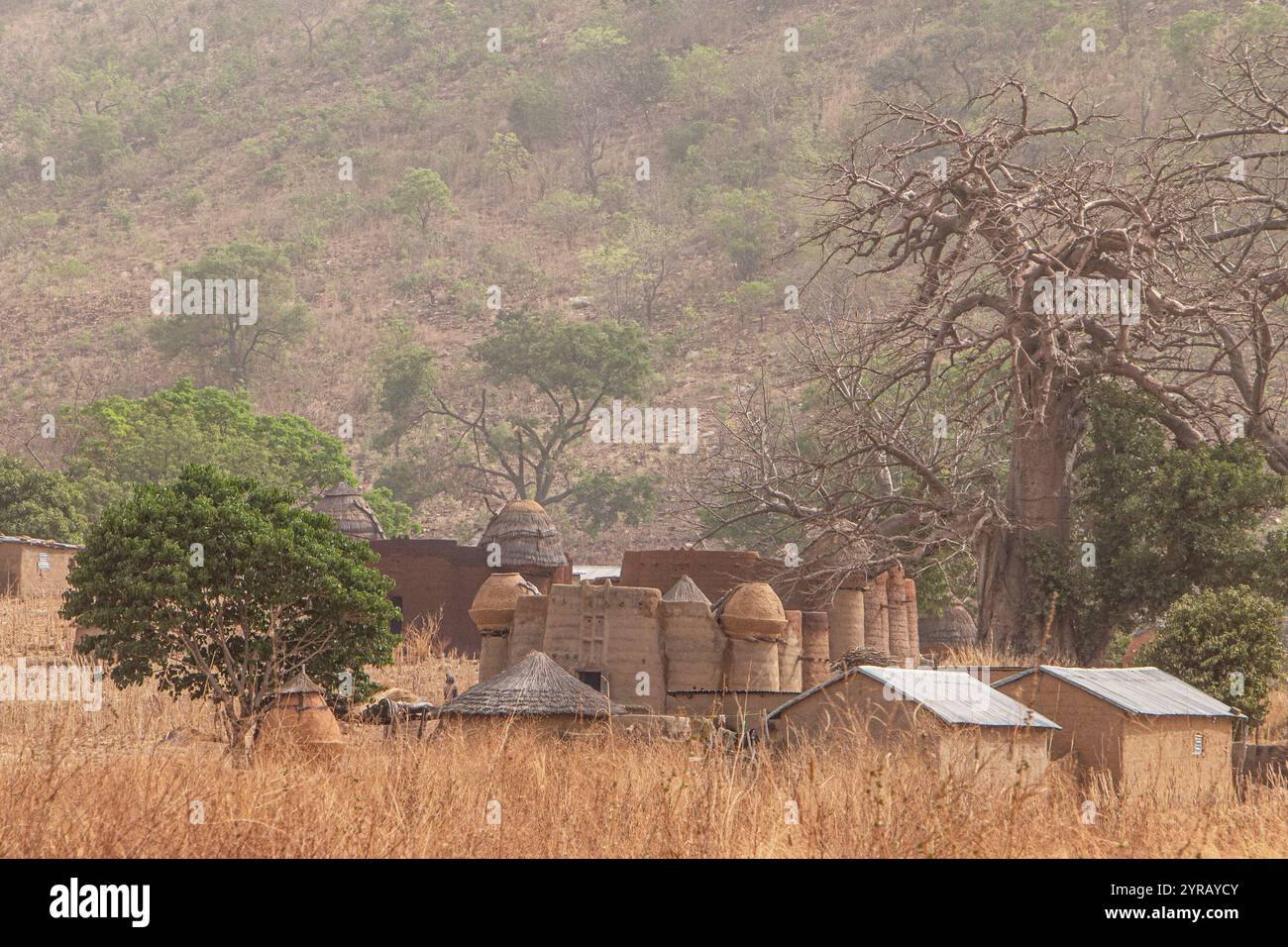 Village argile traditionnel au Togo niché au milieu de l'herbe sèche et des baobabs Banque D'Images
