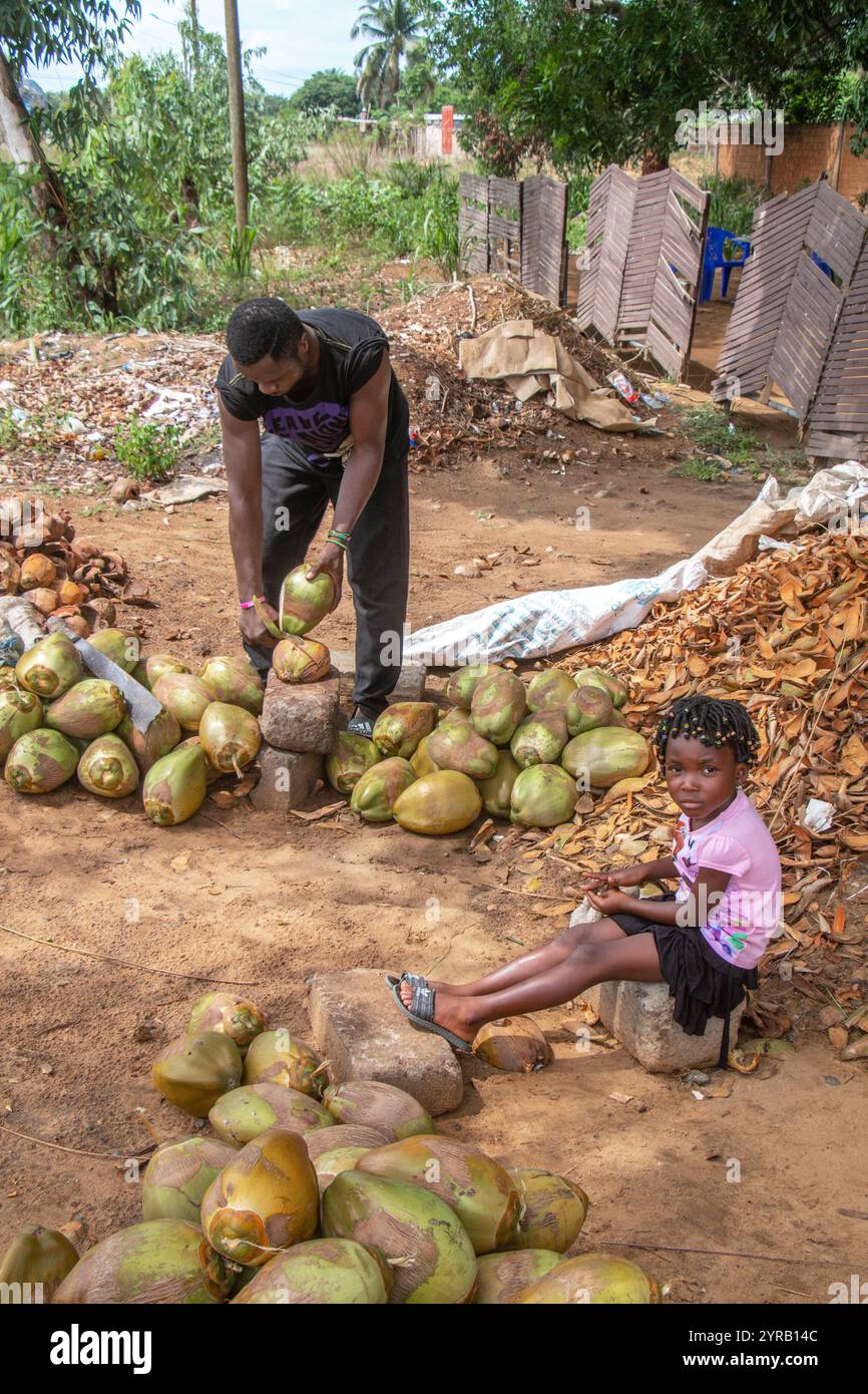Père et fille vendant des noix de coco fraîches dans un village rural au Togo Banque D'Images