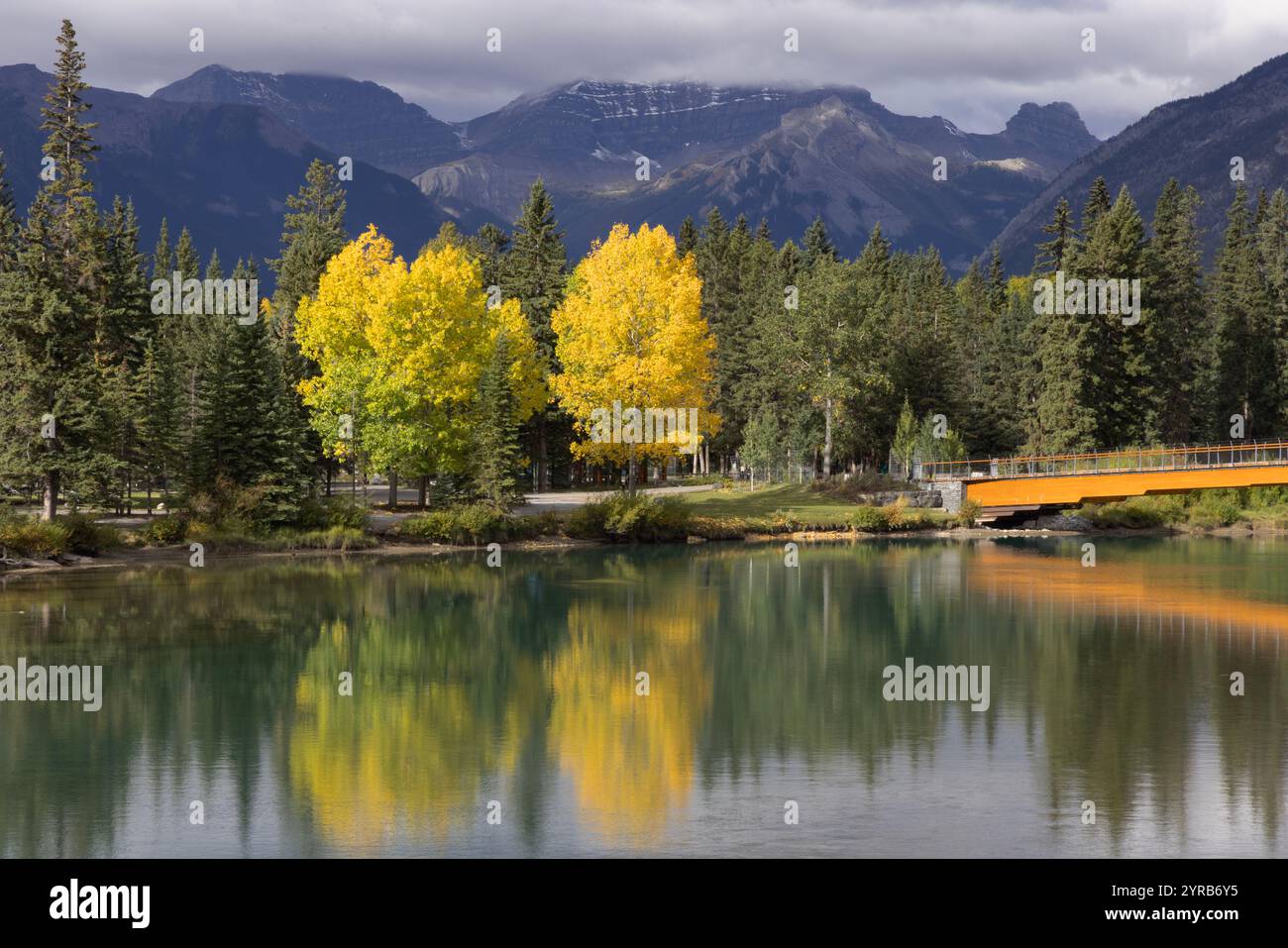 Pont Nancy Pauw, ville de Banff Central Park arbres jaunes reflétés sur la rivière Bow le jour d'automne. Parc national Banff, Alberta, Canada Banque D'Images