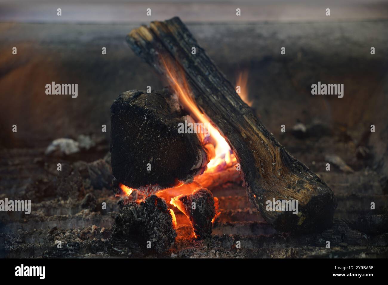 Gros plan d'un feu de camp brûlant Banque D'Images