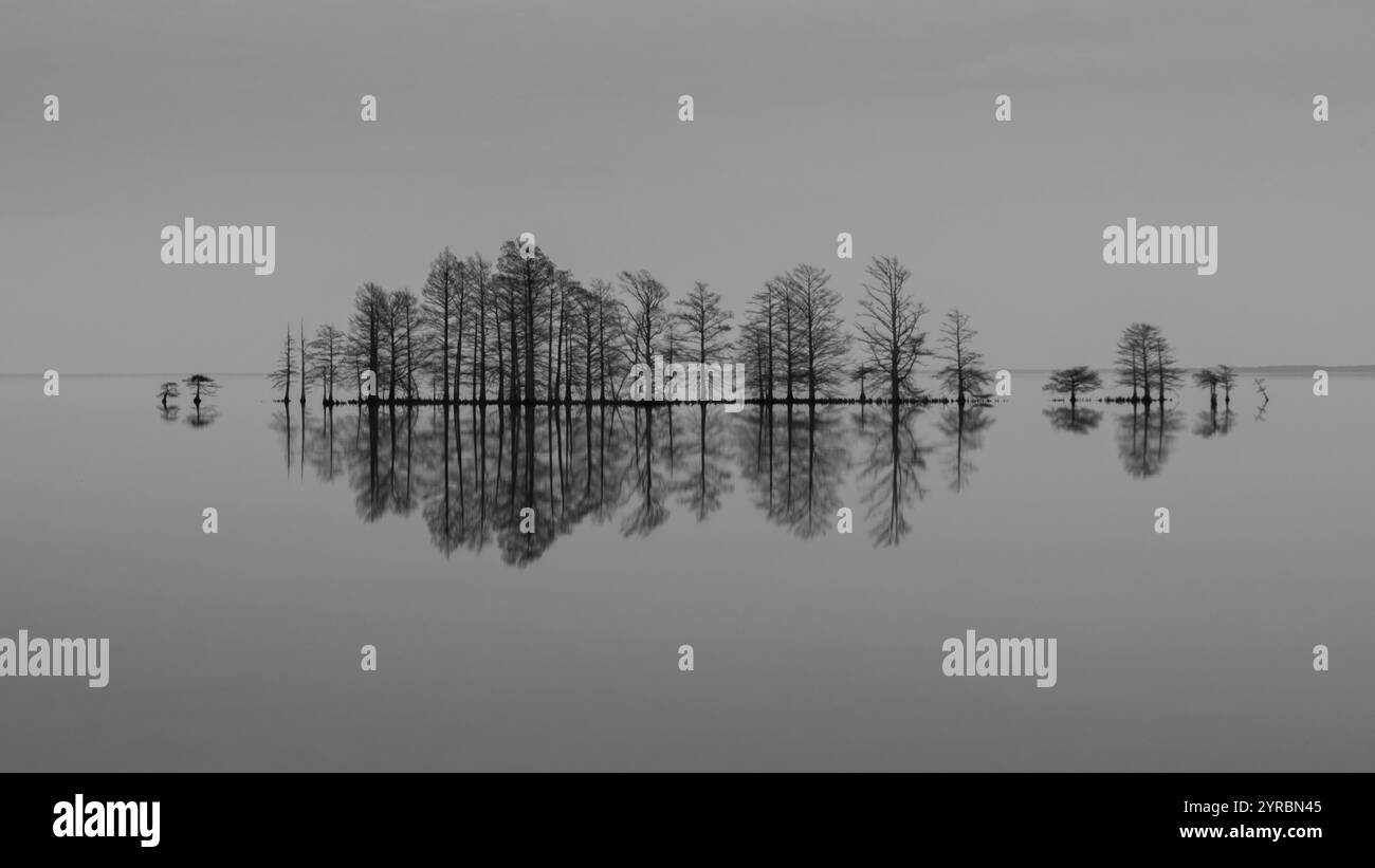 FEB 12, 2022,, Swan Quarter NC, arbres avec réflexion sur le lac Mattamuskeet, REFUGE FAUNIQUE NATIONAL MATTAMUSKEET Banque D'Images