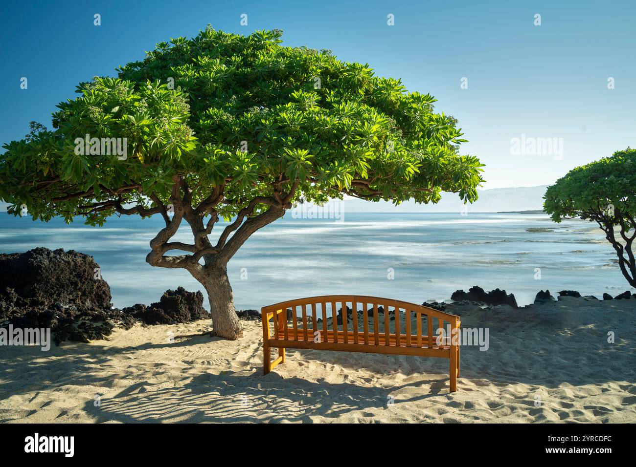 Banc et arbre ombragé avec vue sur l'océan. Hawaï, la Grande île Banque D'Images