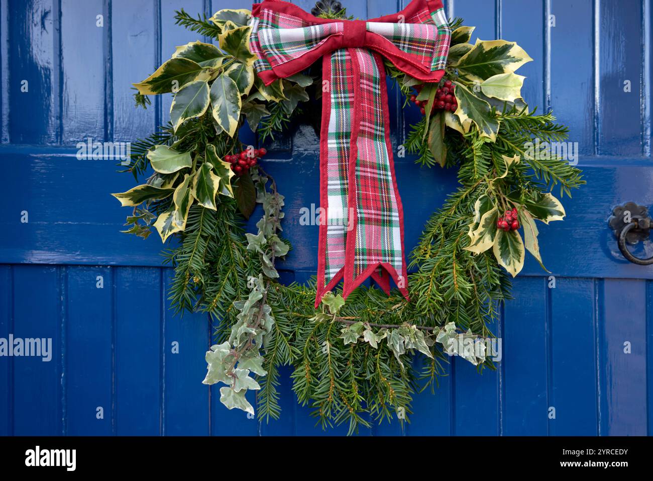 Couronne de Noël avec noeud tartan apposé sur une porte bleue. Angleterre, Royaume-Uni Banque D'Images