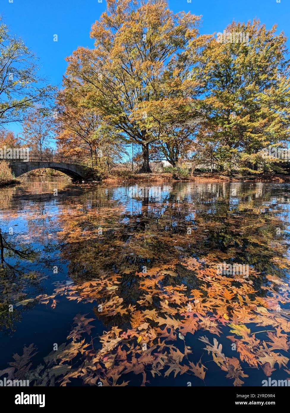 Fenway Park en automne Banque D'Images