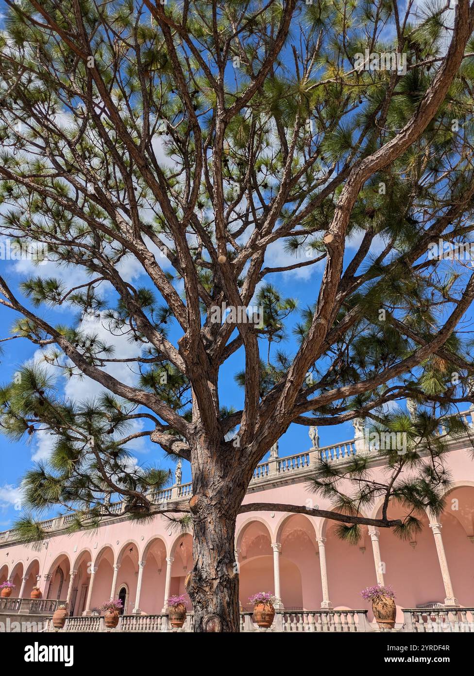 Terrain extérieur du musée Ringling en Floride États-Unis - Image de stock capturée avec un smartphone