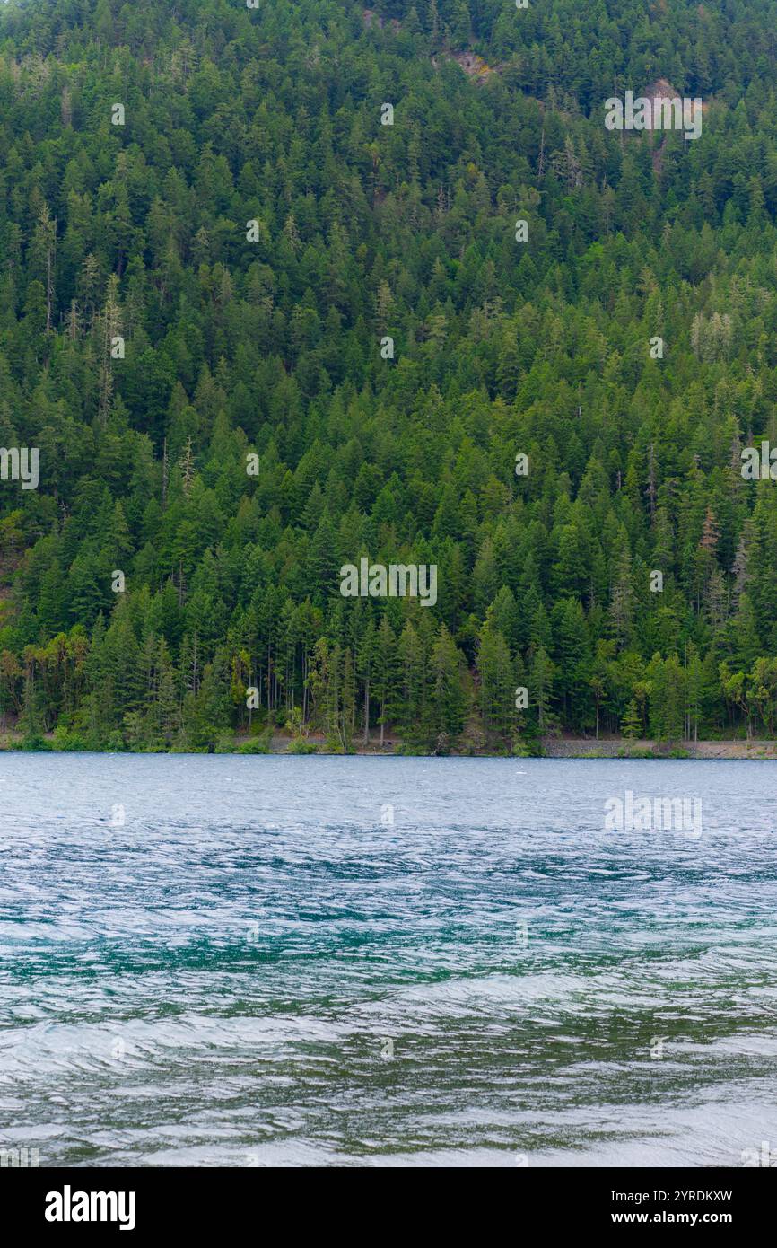 Lac Serene Mountain avec forêt dense Evergreen en arrière-plan Banque D'Images