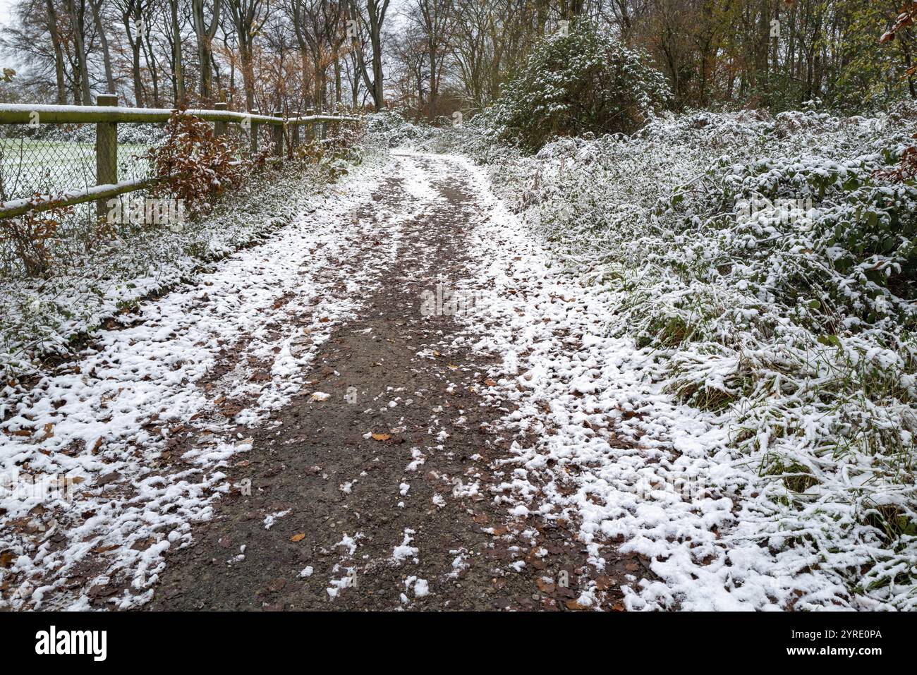 Petite route en hiver Banque D'Images