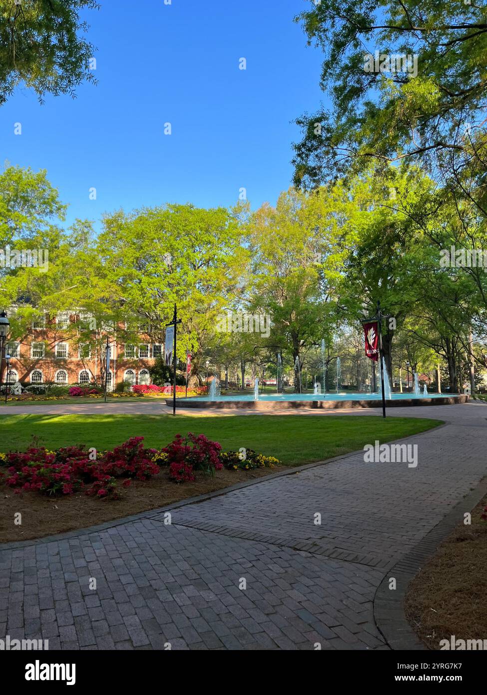 Elon University ; Highland Cow ; Smoky Mountains Banque D'Images